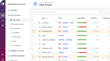 data assets