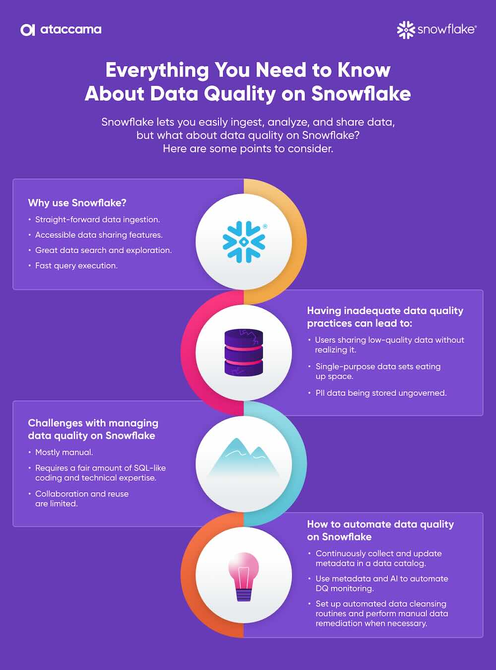 DQ Infographic Snowflake